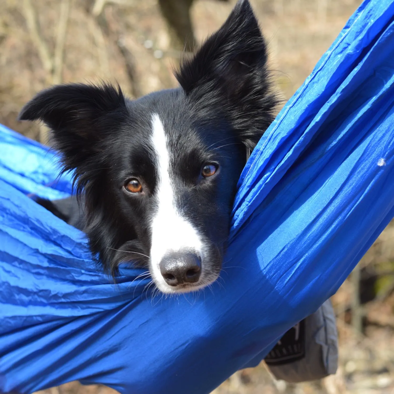 Loafer Single Hammock